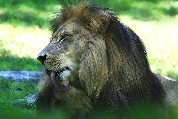 Cape May Zoo - Cape May, NJ