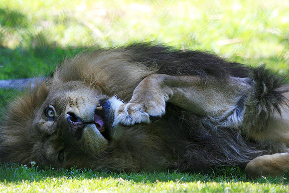 Cape May Zoo - Cape May, NJ
