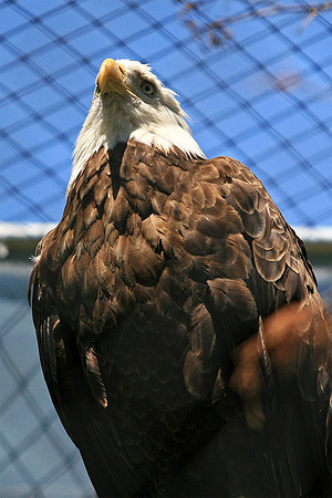 Cape May Zoo - Cape May, NJ