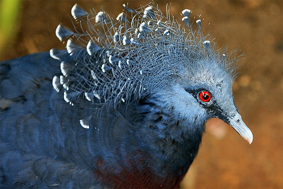 Cape May Zoo - Cape May, NJ