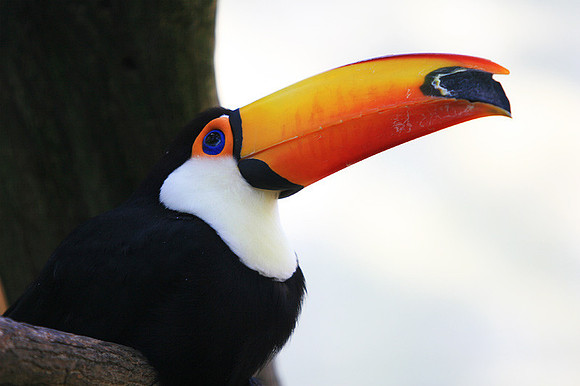 Cape May Zoo - Cape May, NJ