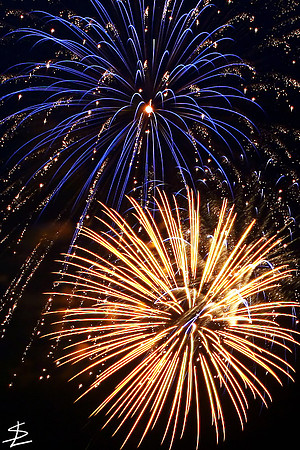 4th of July 2008