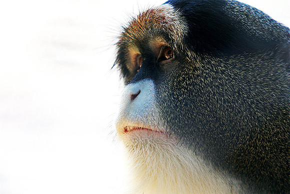 Cape May Zoo - Cape May, NJ