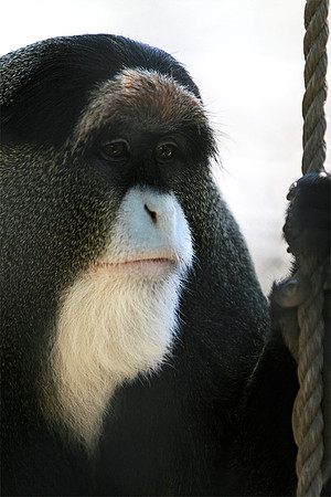 Cape May Zoo - Cape May, NJ