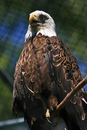 Cape May Zoo - Cape May, NJ