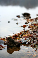 Core Creek Park, PA