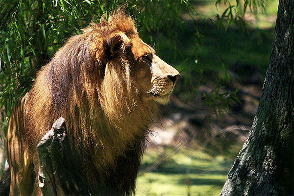 Cape May Zoo - Cape May, NJ