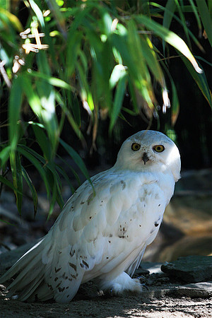 Cape May Zoo - Cape May, NJ